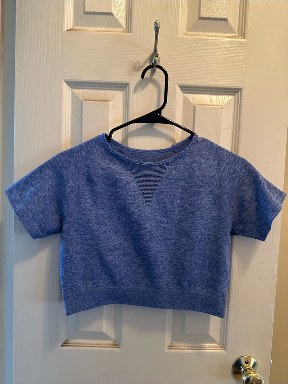 Buffbunny Blue Seamless Short Sleeve Cropped Top